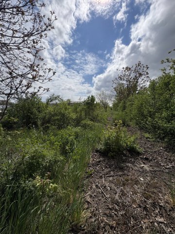 Eladó telek, Budapesten, XXII. kerületben 200 M Ft