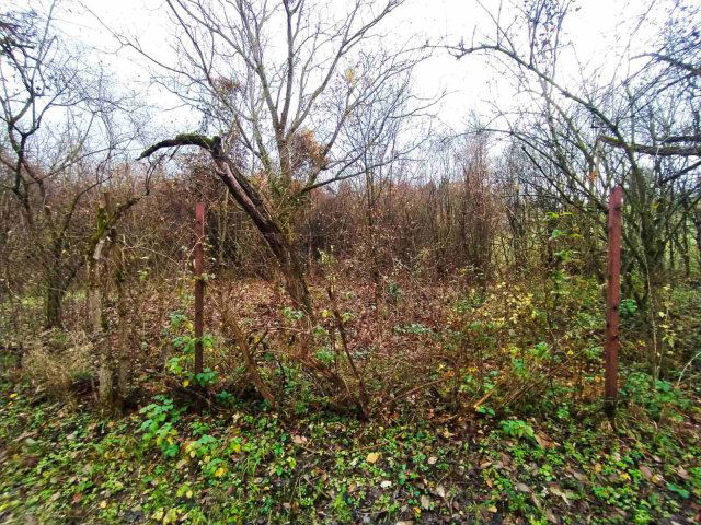 Eladó mezogazdasagi ingatlan, Verőcén 18.99 M Ft