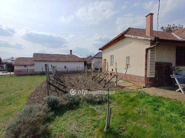 Eladó családi ház, Csanyteleken 15.9 M Ft, 3 szobás