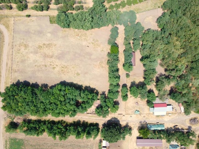 Eladó mezogazdasagi ingatlan, Tenken 32.9 M Ft