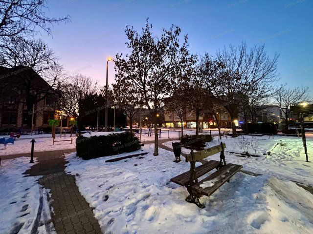 Kiadó üzlethelyiség, Budapesten, XX. kerületben 150 E Ft / hó