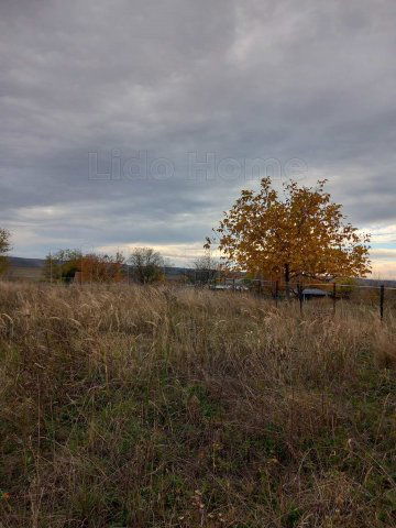 Eladó mezogazdasagi ingatlan, Siófokon 20 M Ft