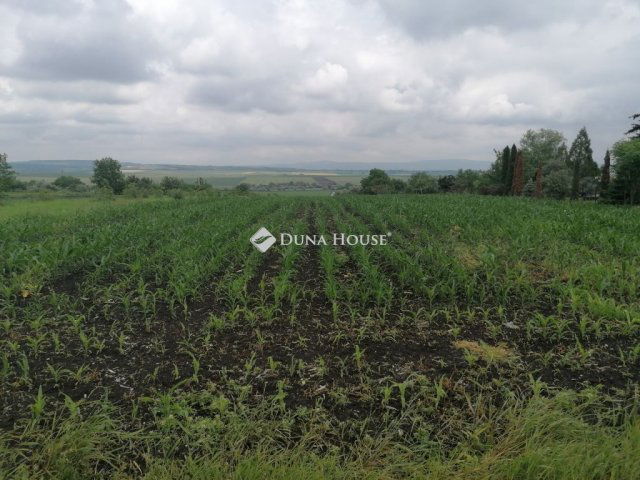 Eladó telek, Bicskén 8.9 M Ft / költözzbe.hu