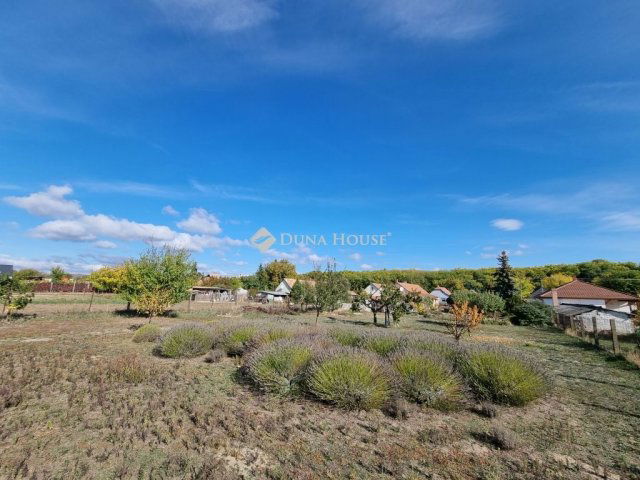 Eladó telek, Seregélyesen 12.5 M Ft / költözzbe.hu