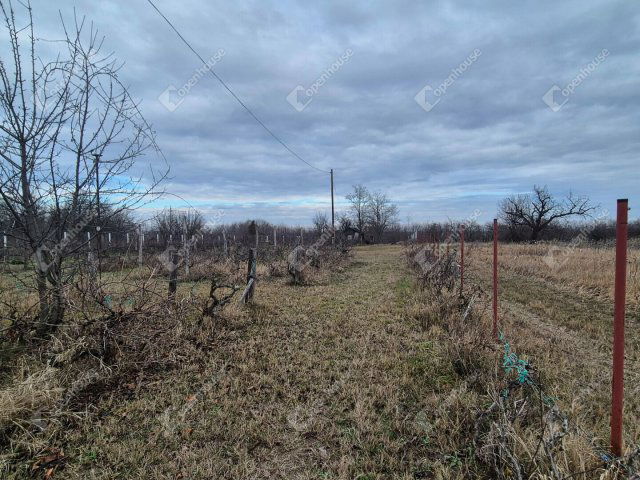 Eladó telek, Sülysápon 25.99 M Ft / költözzbe.hu