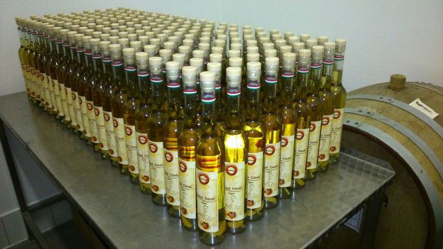 Eladó ipari ingatlan, Dunavecsén, Alkotmány utcában 200 M Ft