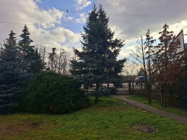 Eladó családi ház, Pécsett 59.9 M Ft, 5 szobás