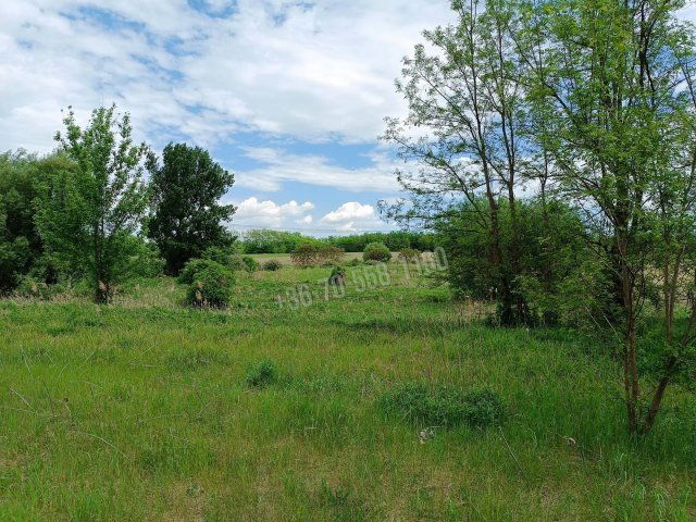 Eladó telek, Őrbottyánban 28 M Ft / költözzbe.hu