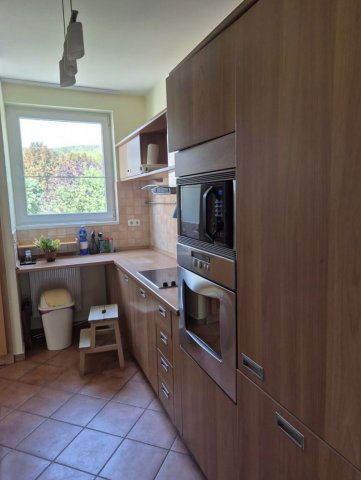 Kiadó téglalakás, albérlet, III. kerületben, Újliget sétányon