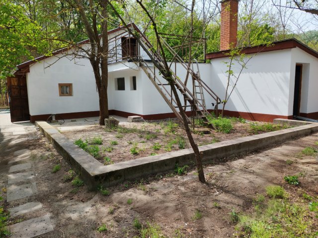 Eladó mezogazdasagi ingatlan, Szabadszálláson 19.9 M Ft