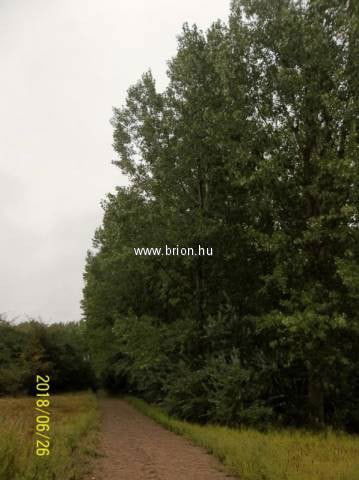 Eladó mezogazdasagi ingatlan, Kakucson 49 M Ft