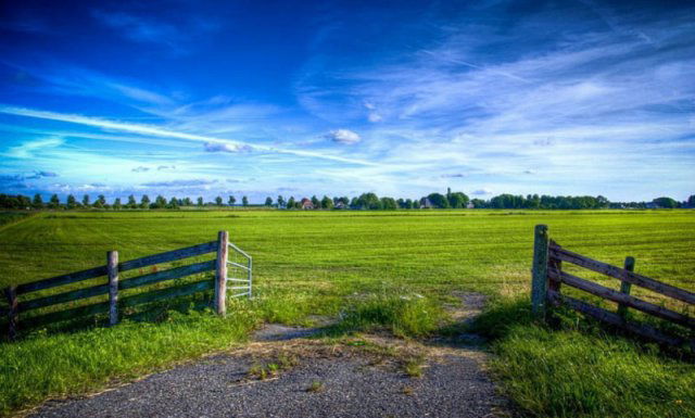 Eladó mezogazdasagi ingatlan, Alsónémediben 110 M Ft