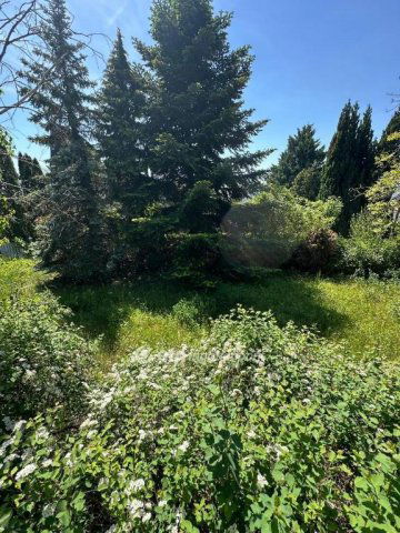 Eladó telek, Szentendrén 80 M Ft / költözzbe.hu