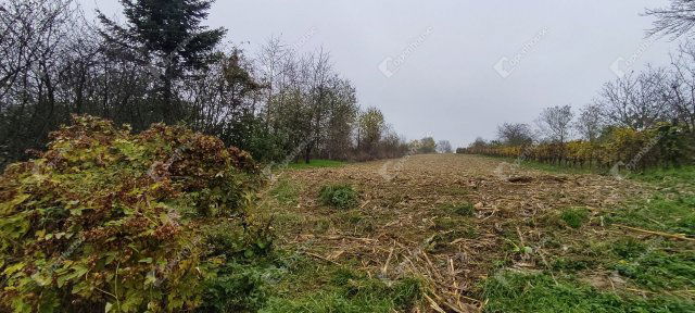 Eladó telek, Sármelléken 26.5 M Ft / költözzbe.hu