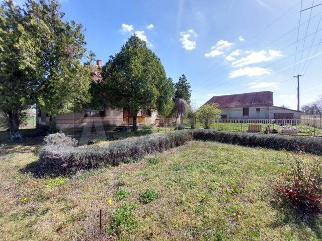 Eladó családi ház, Balástyán 37.9 M Ft, 3 szobás