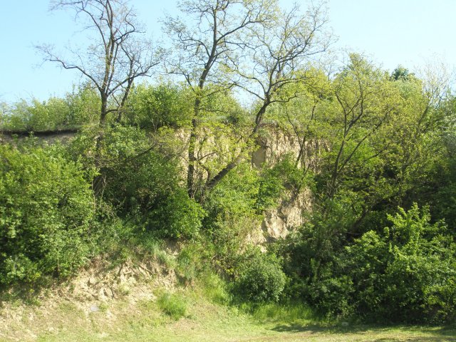 Eladó telek, Biatorbágyon 350 M Ft / költözzbe.hu