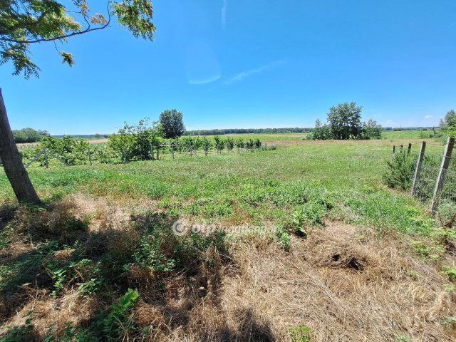 Eladó telek, Tiszakécskén 7.2 M Ft / költözzbe.hu