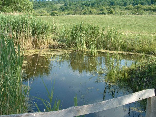 Eladó telek, Felsőtárkányban 20 M Ft / költözzbe.hu