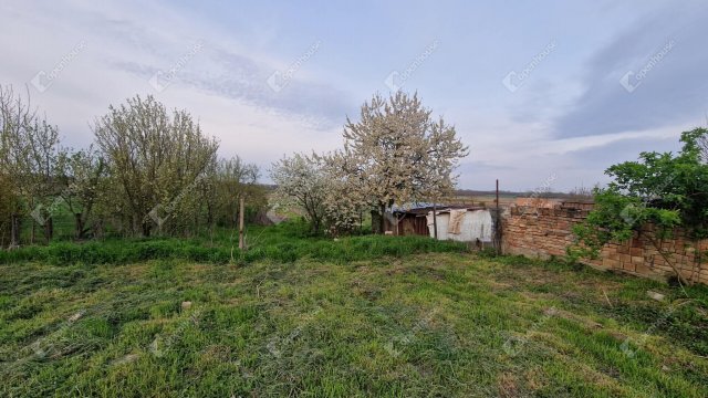 Eladó családi ház, Csépen 14.9 M Ft, 1 szobás