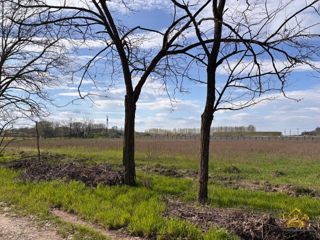 Eladó mezogazdasagi ingatlan, Bugyin 27 M Ft / költözzbe.hu