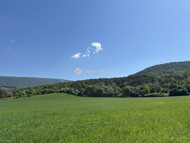 Eladó telek, Piliscséven 2.5 M Ft / költözzbe.hu