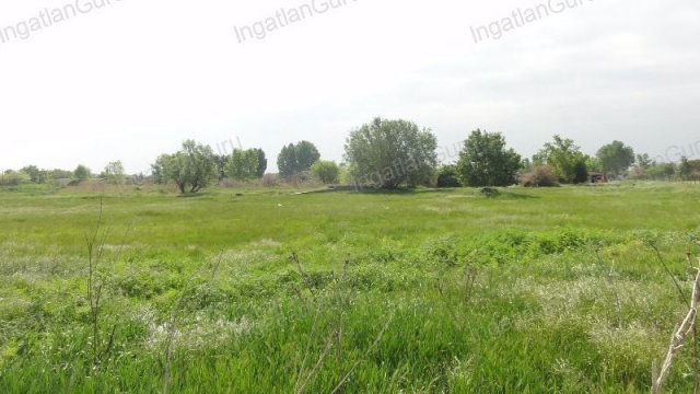 Kiadó ipari ingatlan, Solton 550 E Ft / hó / költözzbe.hu