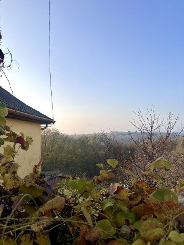 Eladó nyaraló, Babosdöbrétén 5.9 M Ft, 1 szobás