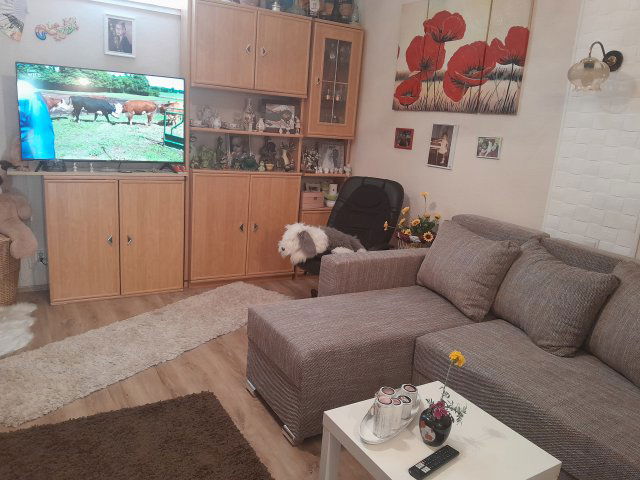 Eladó családi ház, Kecskeméten 29.9 M Ft, 1 szobás