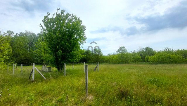 Eladó mezogazdasagi ingatlan, Budapesten, XVII. kerületben 6 M Ft