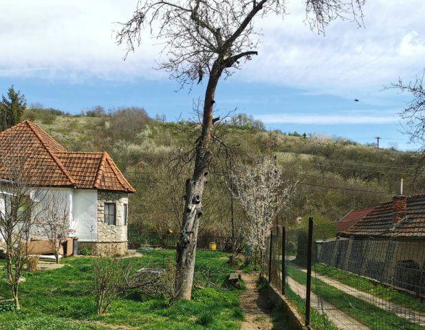 Eladó családi ház, Miskolcon, Kodály Zoltán utcában 19.9 M Ft