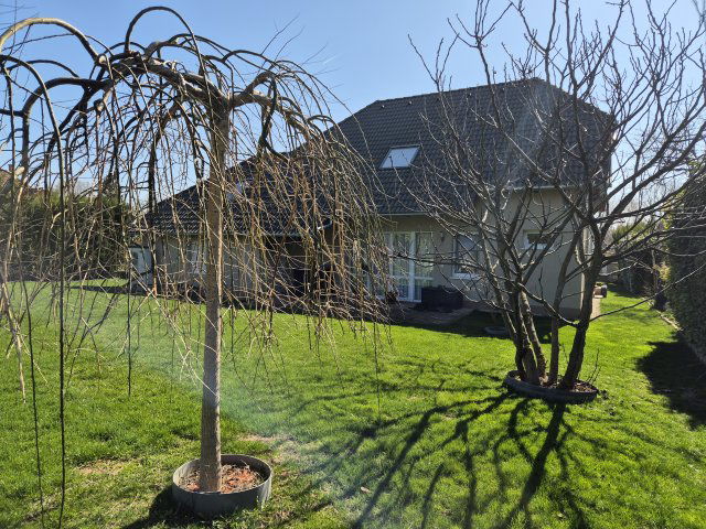 Eladó családi ház, Vonyarcvashegyen 300 M Ft, 4 szobás