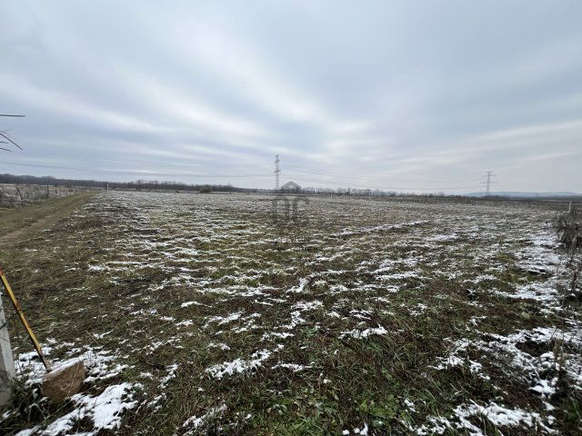 Eladó telek, Szadán 12 M Ft / költözzbe.hu