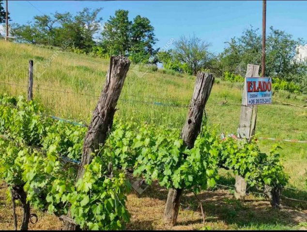 Eladó telek, Kőröshegyen 25 M Ft / költözzbe.hu