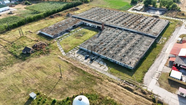Eladó ipari ingatlan, Cegléden 350 M Ft / költözzbe.hu