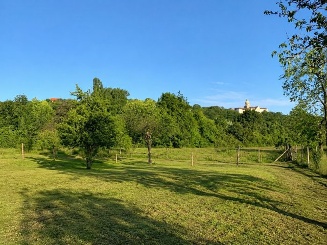 Eladó telek, Pannonhalmán 64.49 M Ft / költözzbe.hu