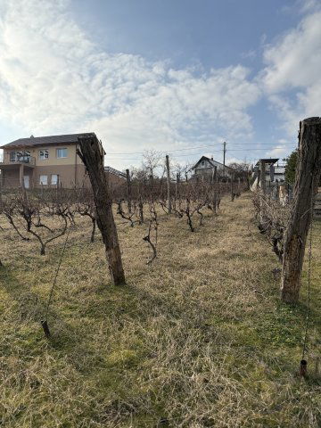 Eladó telek, Pákozdon 30 M Ft / költözzbe.hu