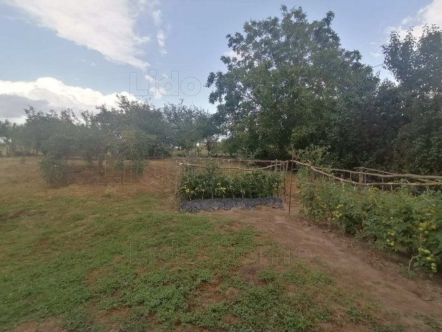 Eladó családi ház, Lengyeltótiban 20.99 M Ft, 2 szobás