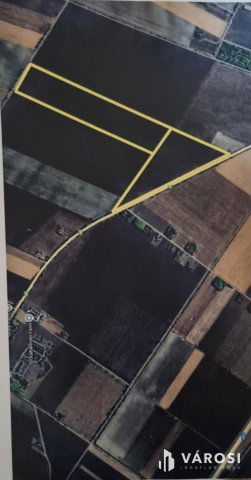 Eladó mezogazdasagi ingatlan, Kardoson 31 M Ft