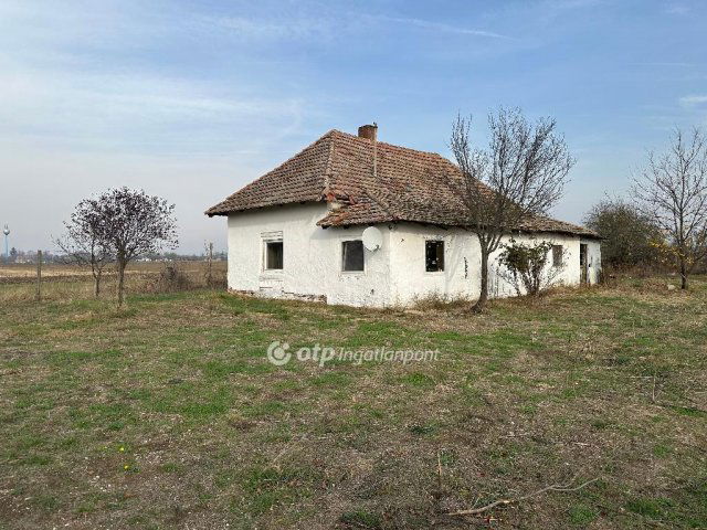 Eladó mezogazdasagi ingatlan, Szentesen 24.9 M Ft, 2 szobás