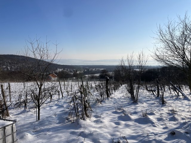 Eladó mezogazdasagi ingatlan, Dörgicsén 65 M Ft