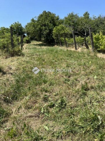 Eladó telek, Kővágószőlősön 15 M Ft / költözzbe.hu