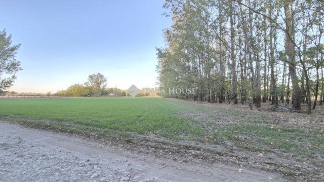 Eladó telek, Kecskeméten 28.9 M Ft / költözzbe.hu