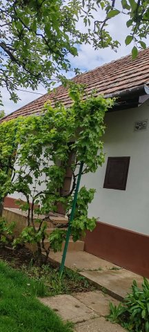 Eladó nyaraló, Törökszentmiklóson 4.9 M Ft, 1 szobás