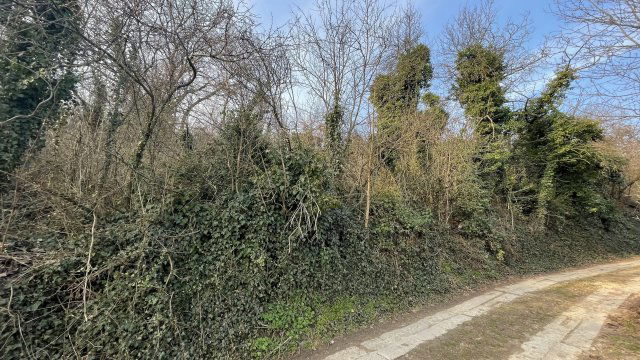 Eladó mezogazdasagi ingatlan, Nyúlon 16.9 M Ft