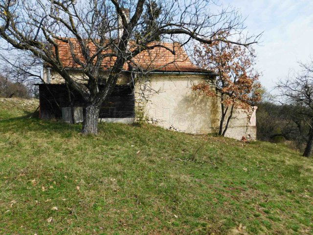 Eladó mezogazdasagi ingatlan, Pécselyen 99.99 M Ft