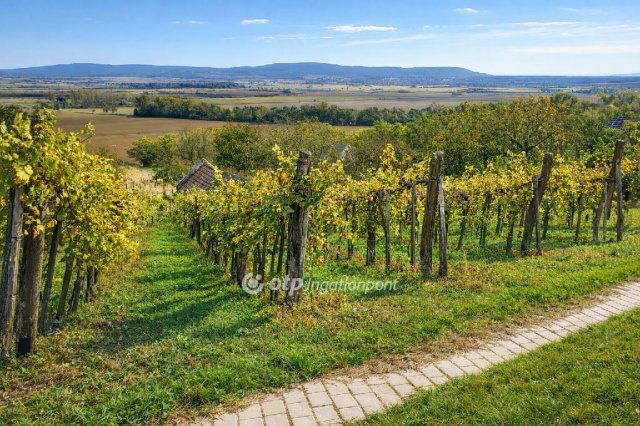 Eladó mezogazdasagi ingatlan, Mindszentkállán 10.5 M Ft