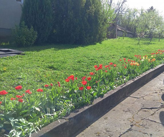 Eladó családi ház, Szűcsin 28 M Ft, 3 szobás