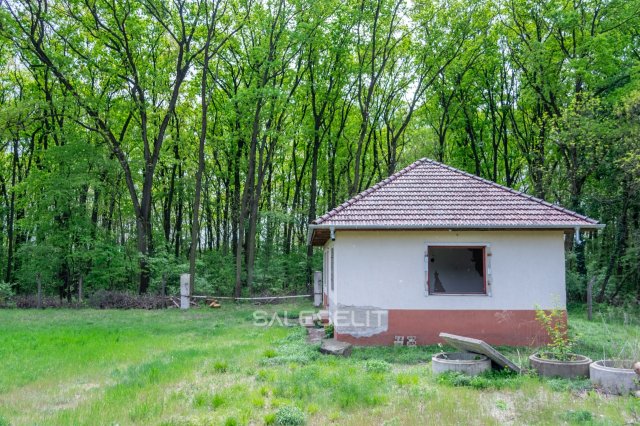 Eladó ipari ingatlan, Debrecenben 99 M Ft / költözzbe.hu