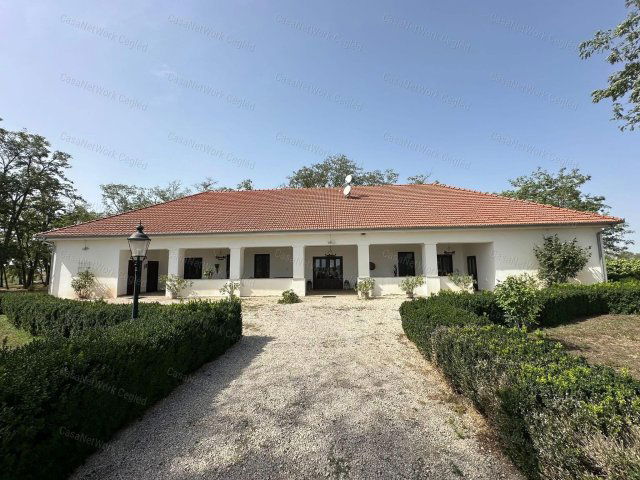 Eladó mezogazdasagi ingatlan, Tiszakécskén 160.494 M Ft