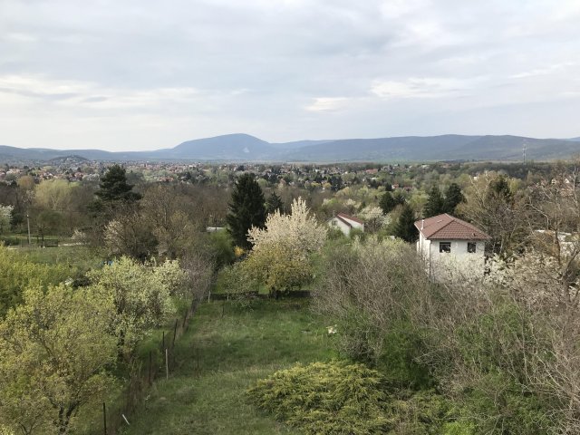 Eladó családi ház, Solymáron, Hold utcában 65 M Ft, 2 szobás